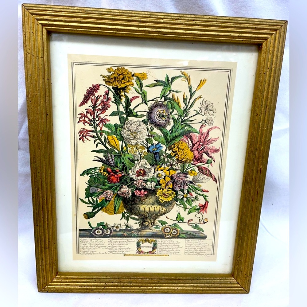 Vintage Robert Furber flowers of September Floral Botanical Print in Gold Frame